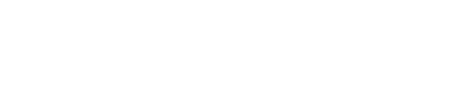 freiburgweb logo transparent